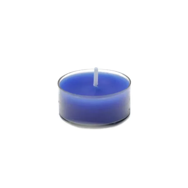 Zest Candle 1.5 in. Blue Tealight Candles (50-Pack)