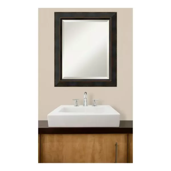 Amanti Art Signore 21 in. W x 25 in. H Framed Rectangular Bathroom Vanity Mirror in Bronze