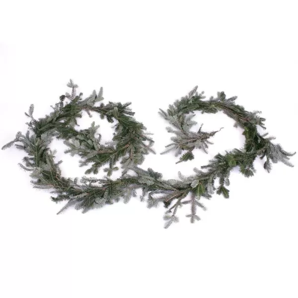 VAN ZYVERDEN 12 ft. Live Fresh Cut Blue Ridge Mountain Fraser Fir Coil Holiday Garland