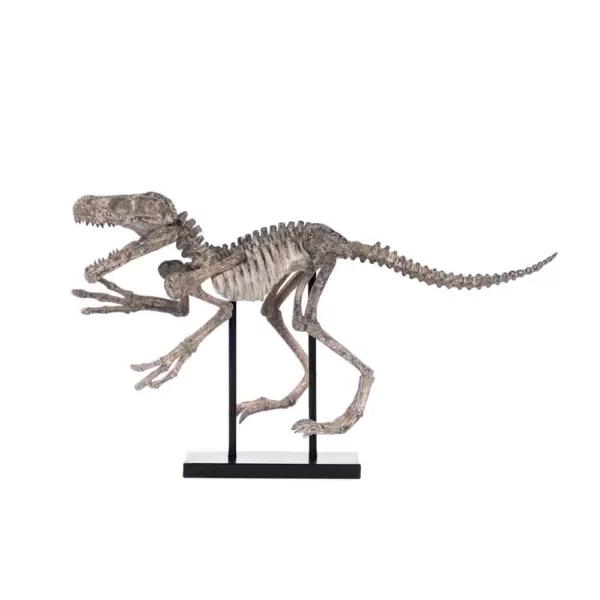 Zentique Polyresin Distressed Brown/Grey Velociraptor on Black Base