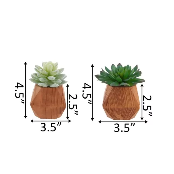 Flora Bunda 4.5 in. Set of 2 Faux Succulent in Wood Pot