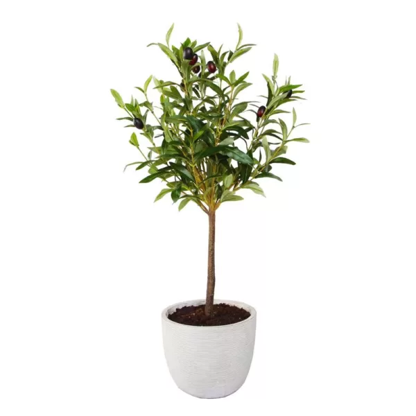 Flora Bunda 28 in. Faux Olive Tree in 7.25 in. Gray Cement Pot