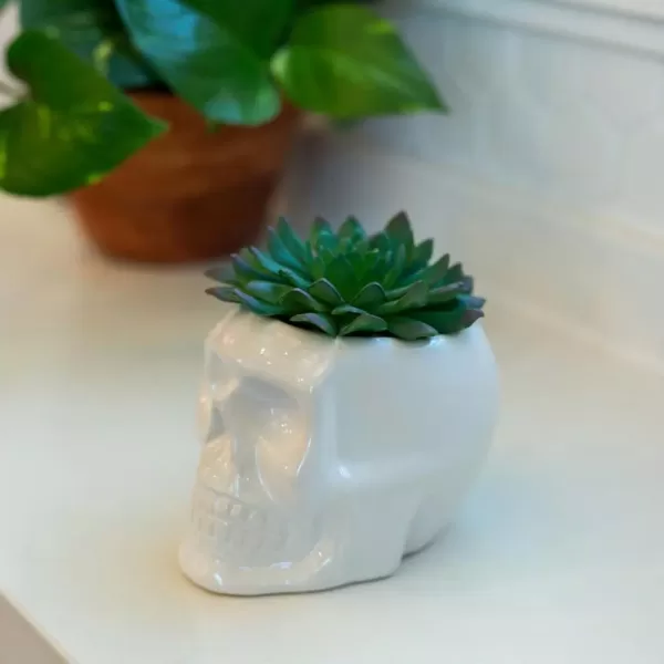 Flora Bunda 4.5 in. x 3.5 in. Artificial Succulent in White Ceramic Sugar Skull