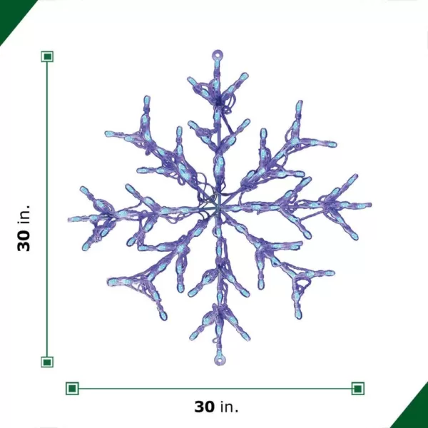 Fraser Hill Farm 2.5 ft. 100-Light LED Blue Snowflake Novelty Light