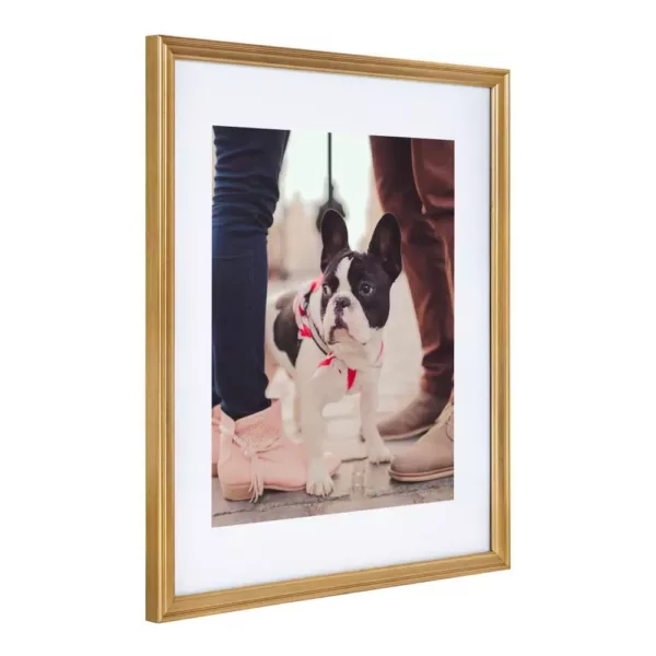 Kate and Laurel Adlynn 14 in. x 18 in. matted to 11 in. x 14 in. Gold Picture Frames (Set of 3)