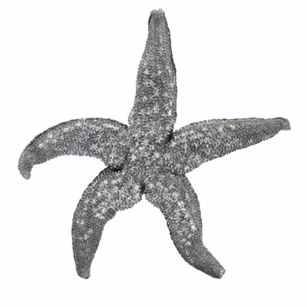 IMAX Magali Silver Starfish Wall Decors (Set of 3)