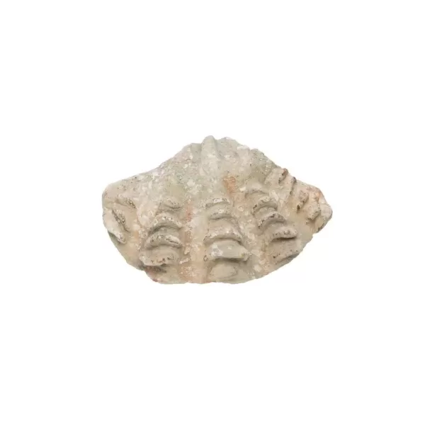 3R Studios Shell Shaped Magnesia Figurine