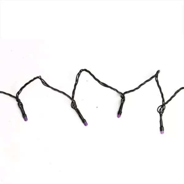 Northlight 5 in. LED B/O Purple Micro Halloween Lights (15-Set)