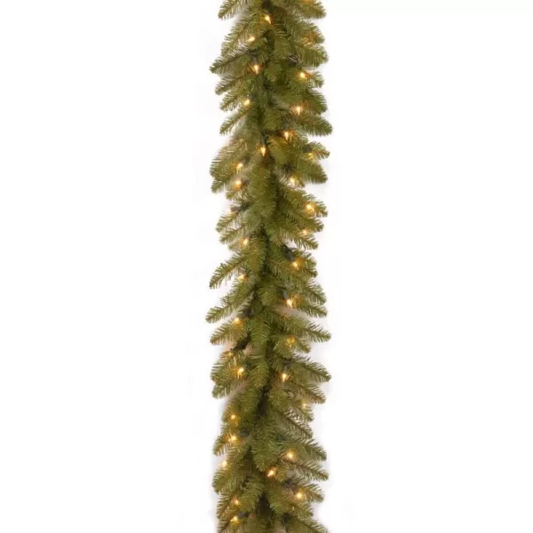 National Tree Company 9 ft. Pre-Lit Dunhill Fir Garland with Clear Lights