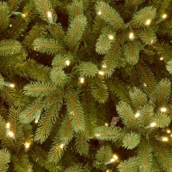 National Tree Company 6.5 ft. Jersey Fraser Fir Medium Tree with Clear Lights