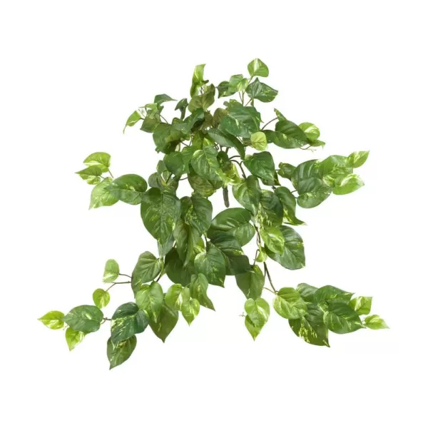 Nearly Natural 30 in. Pothos Hanging Bush (Set of 3)