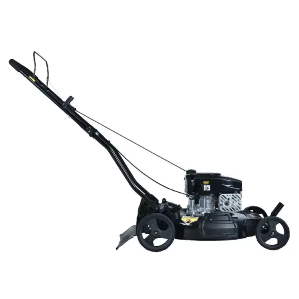 PowerSmart 21 in. 170 cc Gas 2-in-1 Walk Behind Push Lawn Mower