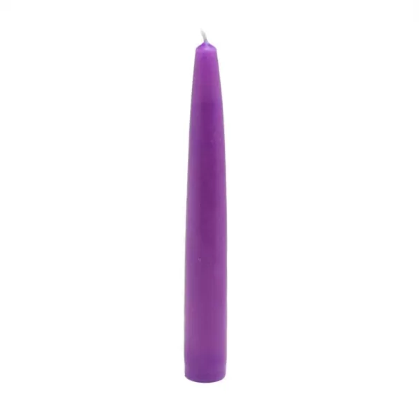 Zest Candle 6 in. Purple Taper Candles (Set of 12)