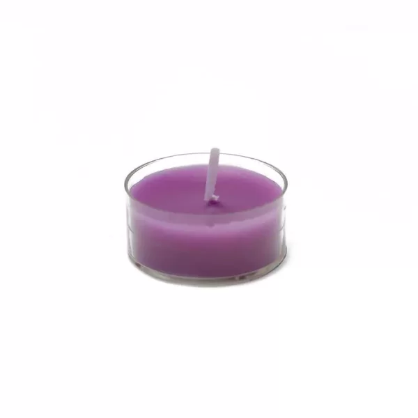 Zest Candle 1.5 in. Purple Tealight Candles (50-Pack)