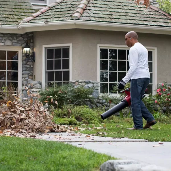 Toro 115 MPH 605 CFM 60-Volt Max Lithium-Ion Brushless Cordless Leaf Blower - 2.5 Ah Battery and Charger Included