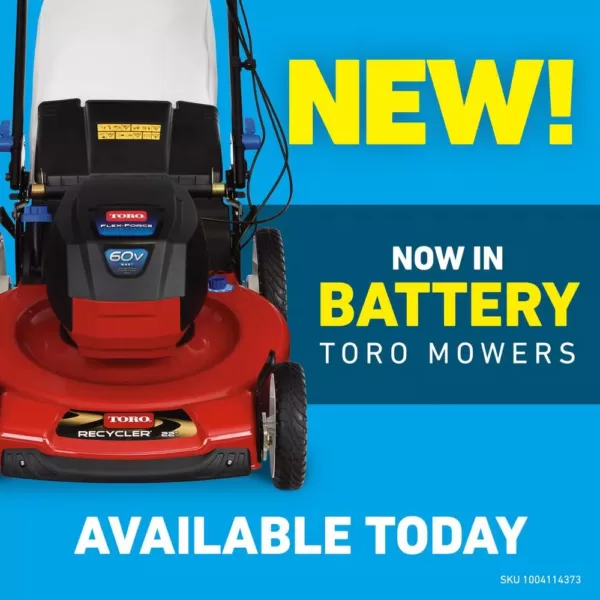 Toro Recycler 21 in. Briggs and Stratton High-Wheel Gas Walk Behind Push Mower