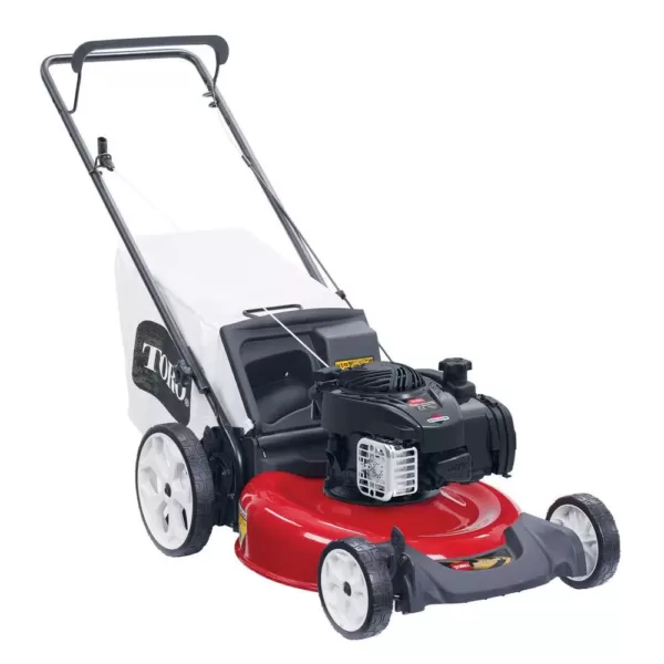 Toro Recycler 21 in. Briggs & Stratton High Wheel Gas Walk Behind Push Lawn Mower with Bagger