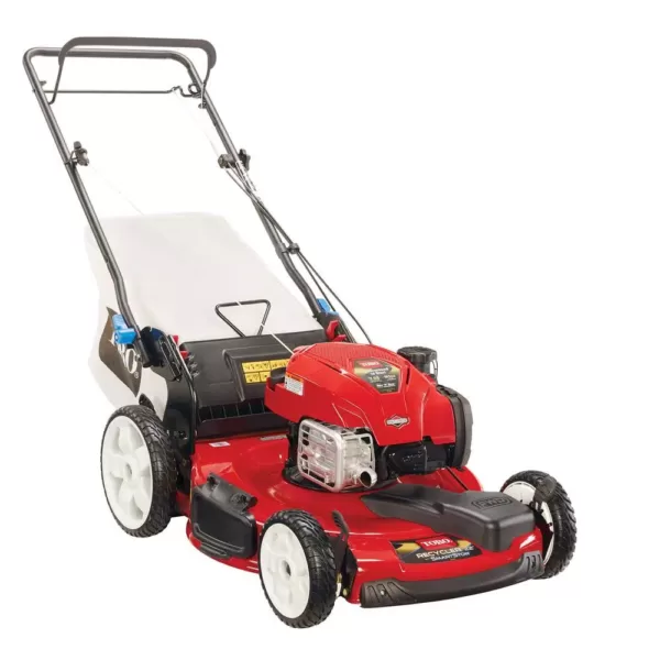 Toro Recycler 22 in. SmartStow High Wheel Variable Speed Walk Behind Gas Self Propelled Mower