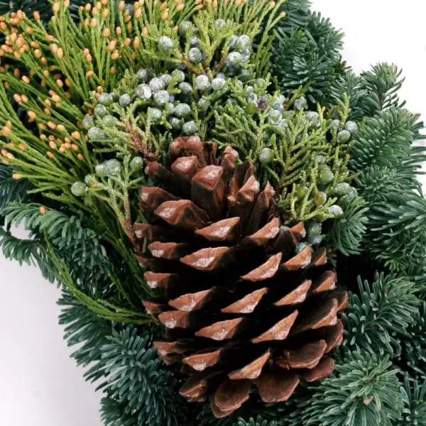 VAN ZYVERDEN 24 in. Live Fresh Cut Pacific Northwest Mixed Christmas Wreath Pine Cone Decorated