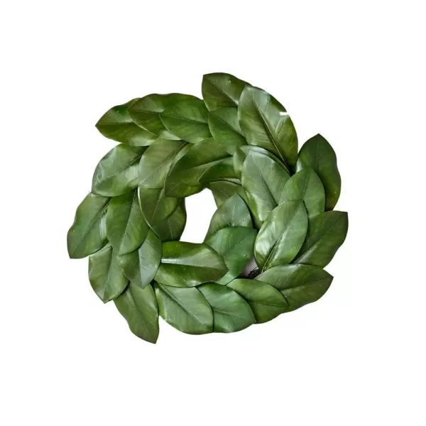 Worth Imports 20 in. Magnolia Leaf Wreath