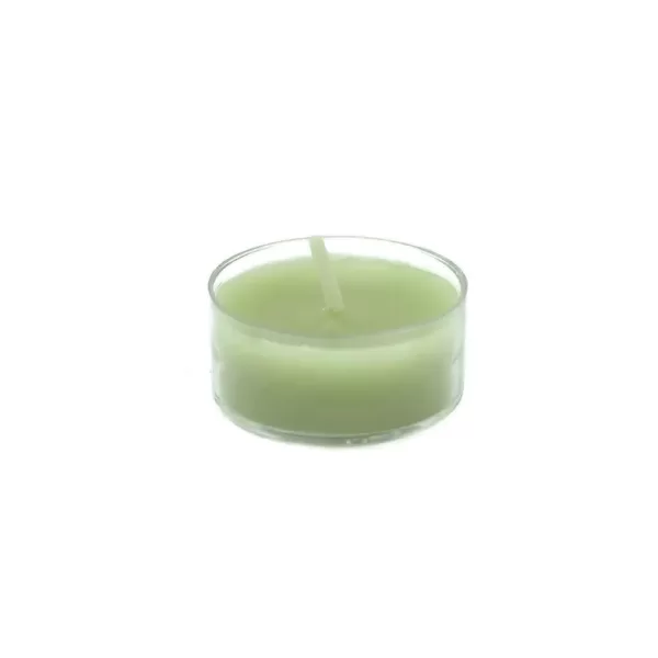 Zest Candle 1.5 in. Sage Green Tealight Candles (50-Pack)